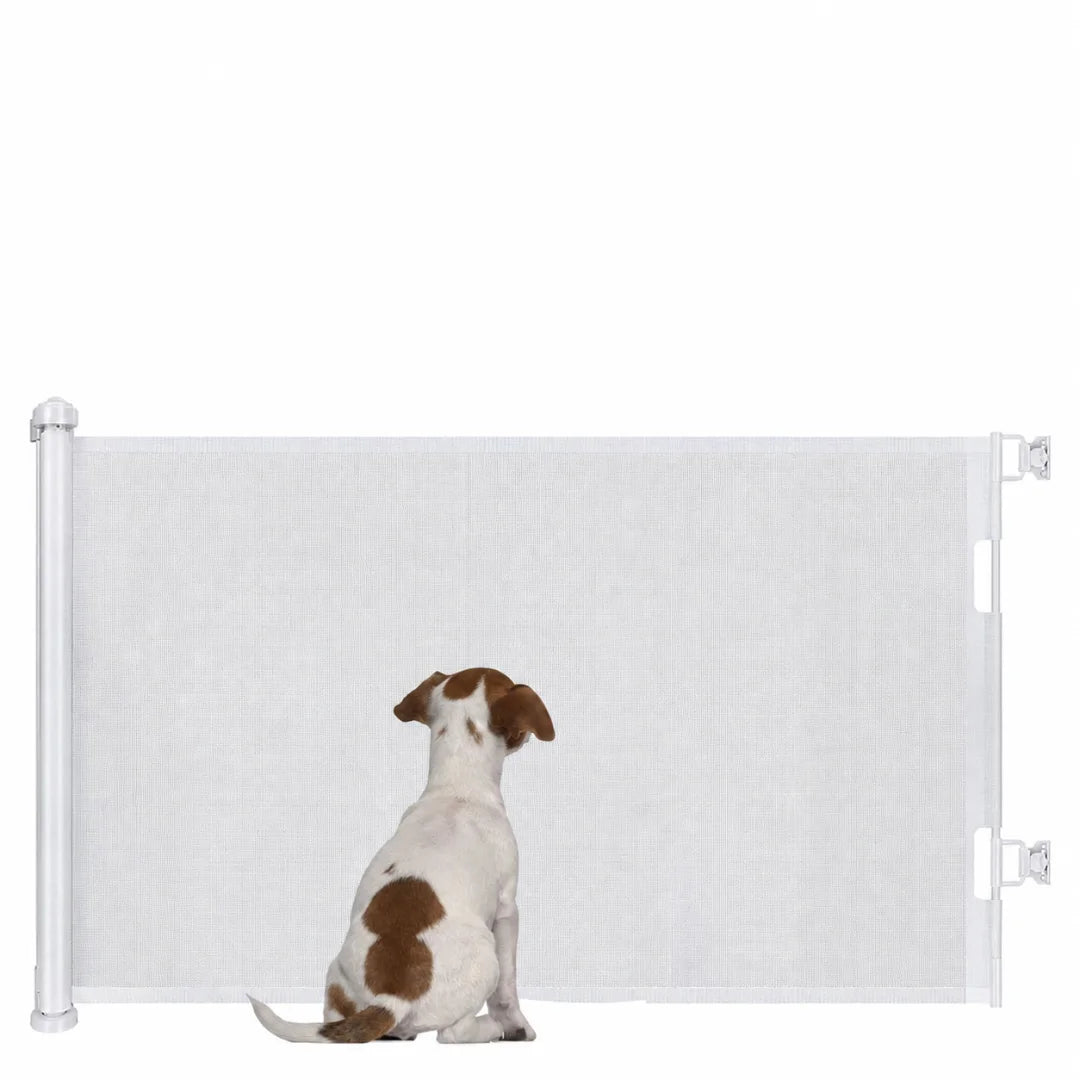 Small puppy sitting patiently in front of a white retractable mesh safety gate.
