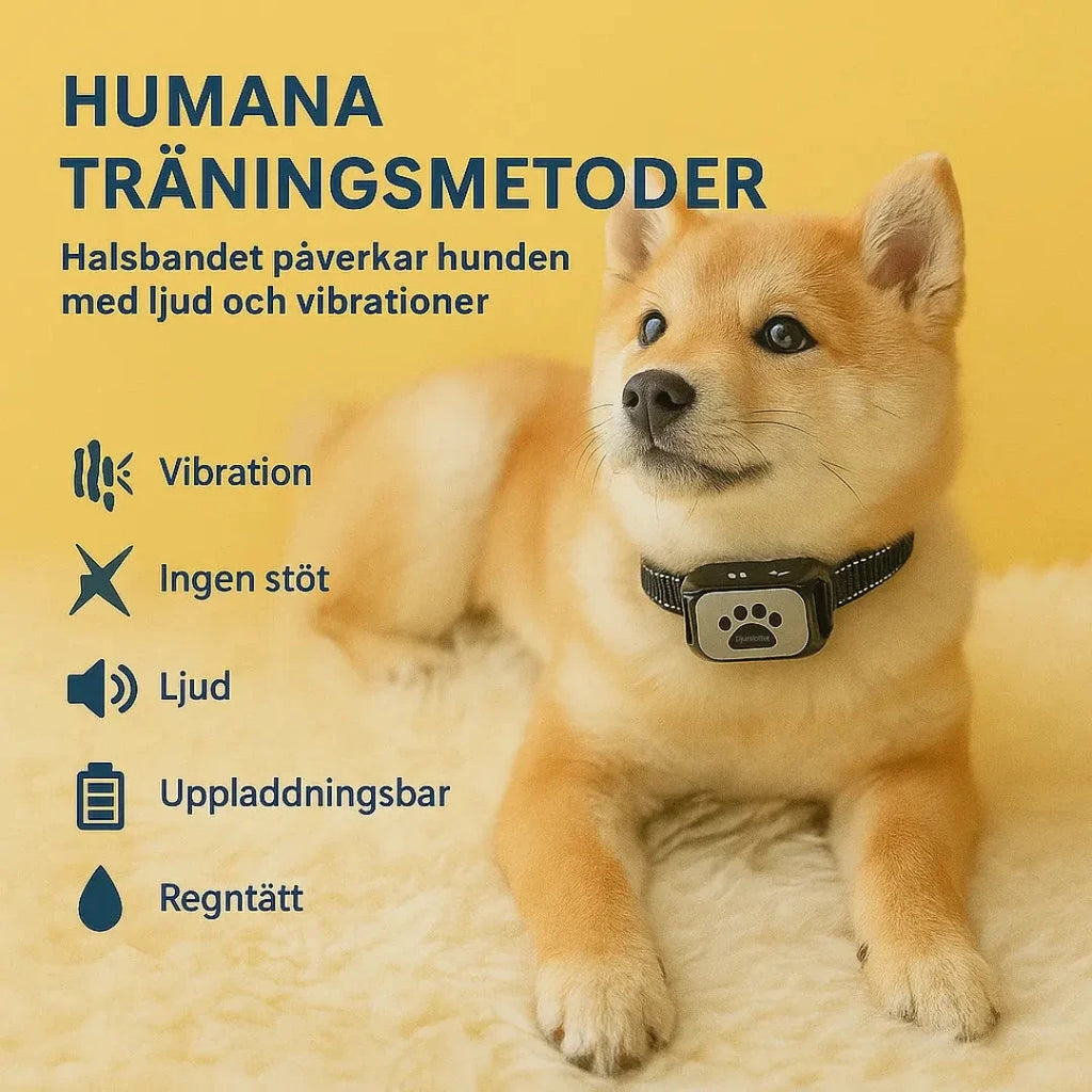 anti-bark collar_shiba_humane_training methods - Petifo
