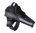 Detixy Dog Harness - Petifo