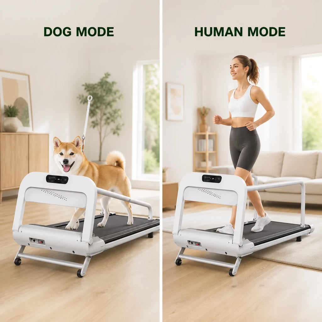 2-in-1 loopbandstanden voor hond en mens