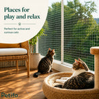 Two cats relaxing and playing safely on a sunny apartment balcony enclosed with a protective safety net.