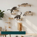 Cat stretching up to scratch the wall-mounted PAWZ board – Petifo