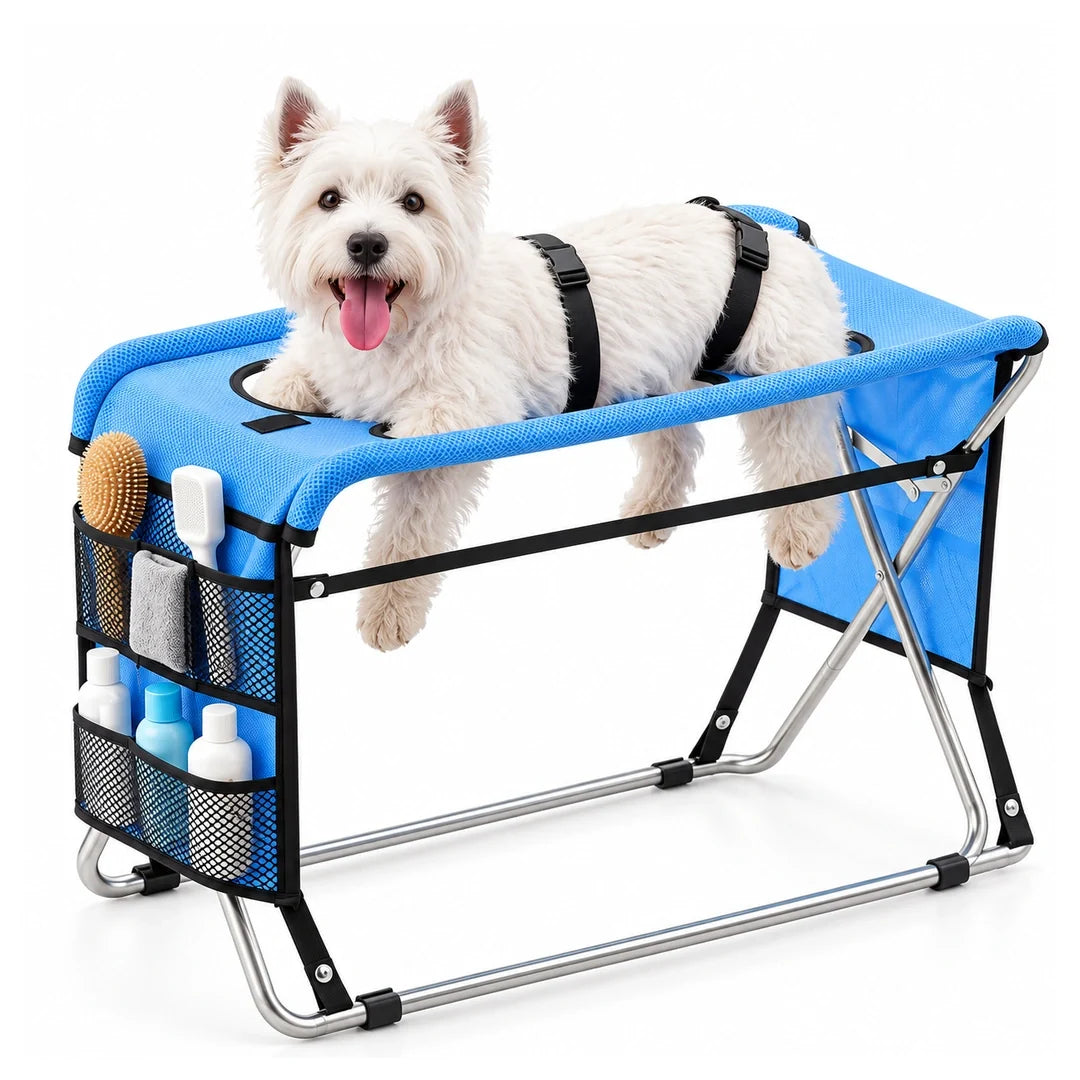 A calm white dog on the blue TailCare Pet Grooming Stand with silver folding frame